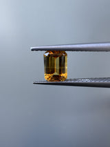 Golden Yellow Sapphire image 5