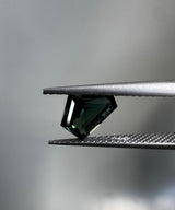 Blue Green Yellow Parti Sapphire image 2