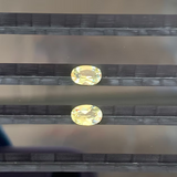 Pair Of Yellow Sapphires