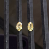 Pair Of Yellow Sapphires