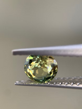 Yellow Green Sapphire