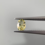 Pair Of Yellow Sapphires