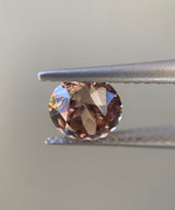 Australian Zircon image 1