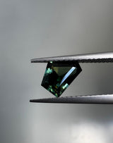 Blue Green Yellow Parti Sapphire image 1
