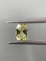 Pair Of Yellow Sapphires