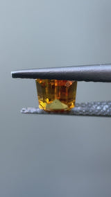 Golden Yellow Sapphire