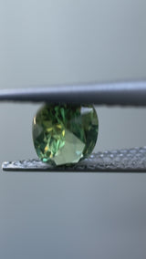 Green Yellow Parti Sapphire